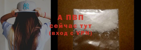 ПСИЛОЦИБИНОВЫЕ ГРИБЫ Заволжье