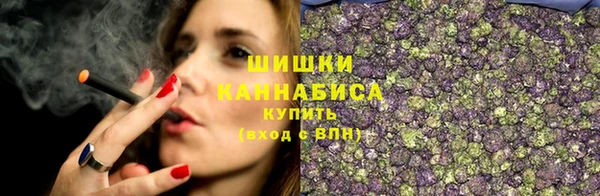 гашик Заводоуковск