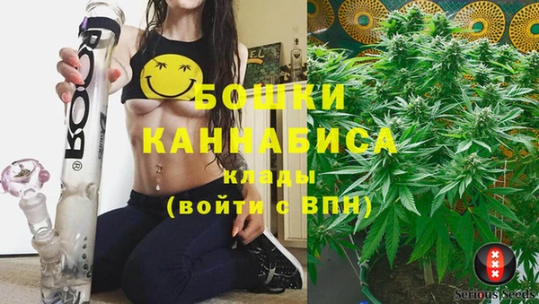 гашик Заводоуковск
