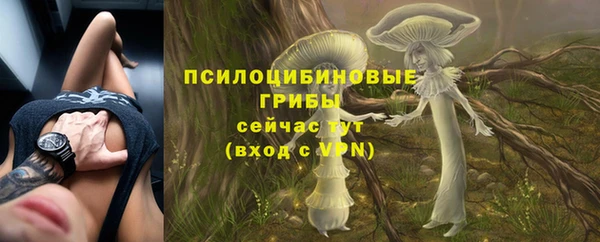 гашик Заводоуковск