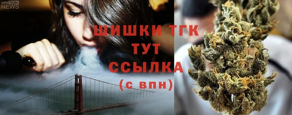 ПСИЛОЦИБИНОВЫЕ ГРИБЫ Заволжье
