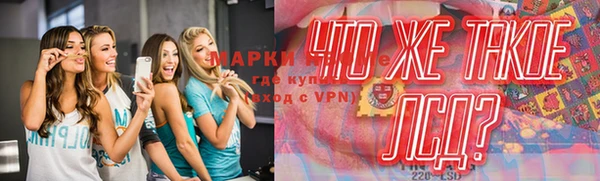 ПСИЛОЦИБИНОВЫЕ ГРИБЫ Заволжье