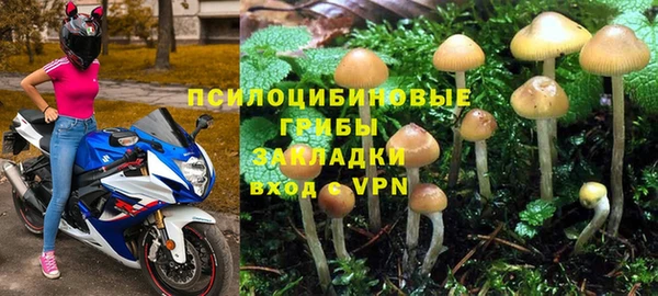 твердый Зеленокумск