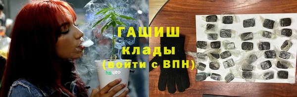 ПСИЛОЦИБИНОВЫЕ ГРИБЫ Заволжье