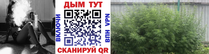 Бошки марихуана White Widow  Купить закладки  Зарайск 